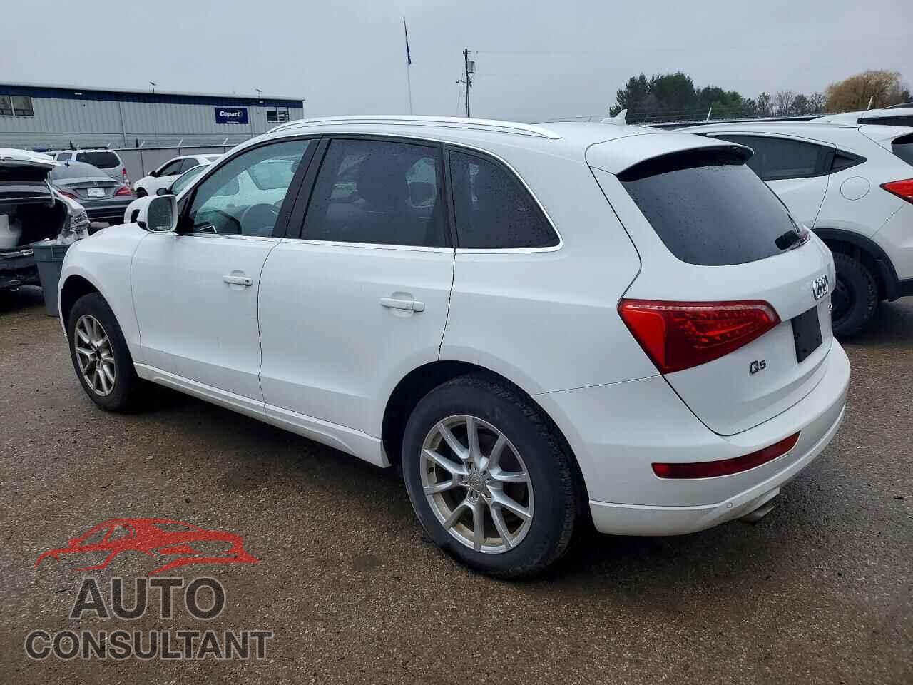 AUDI Q5 2010 - WA1LKCFP4AA048796