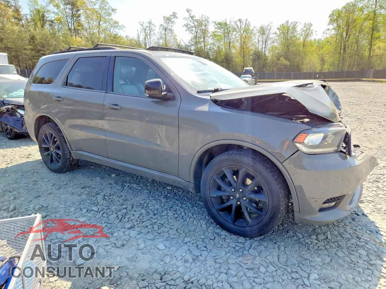 DODGE DURANGO 2019 - 1C4RDJDGXKC711277