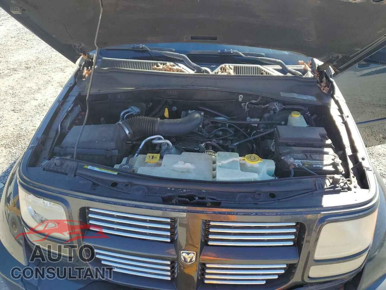 DODGE NITRO 2011 - 1D4PT5GK5BW550369