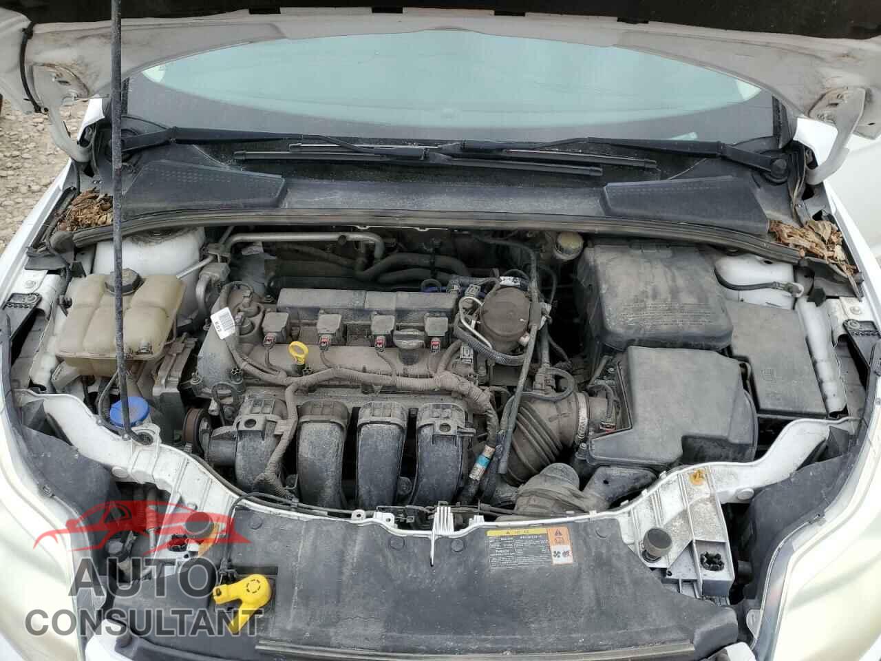 FORD FOCUS 2014 - 1FADP3F26EL224277