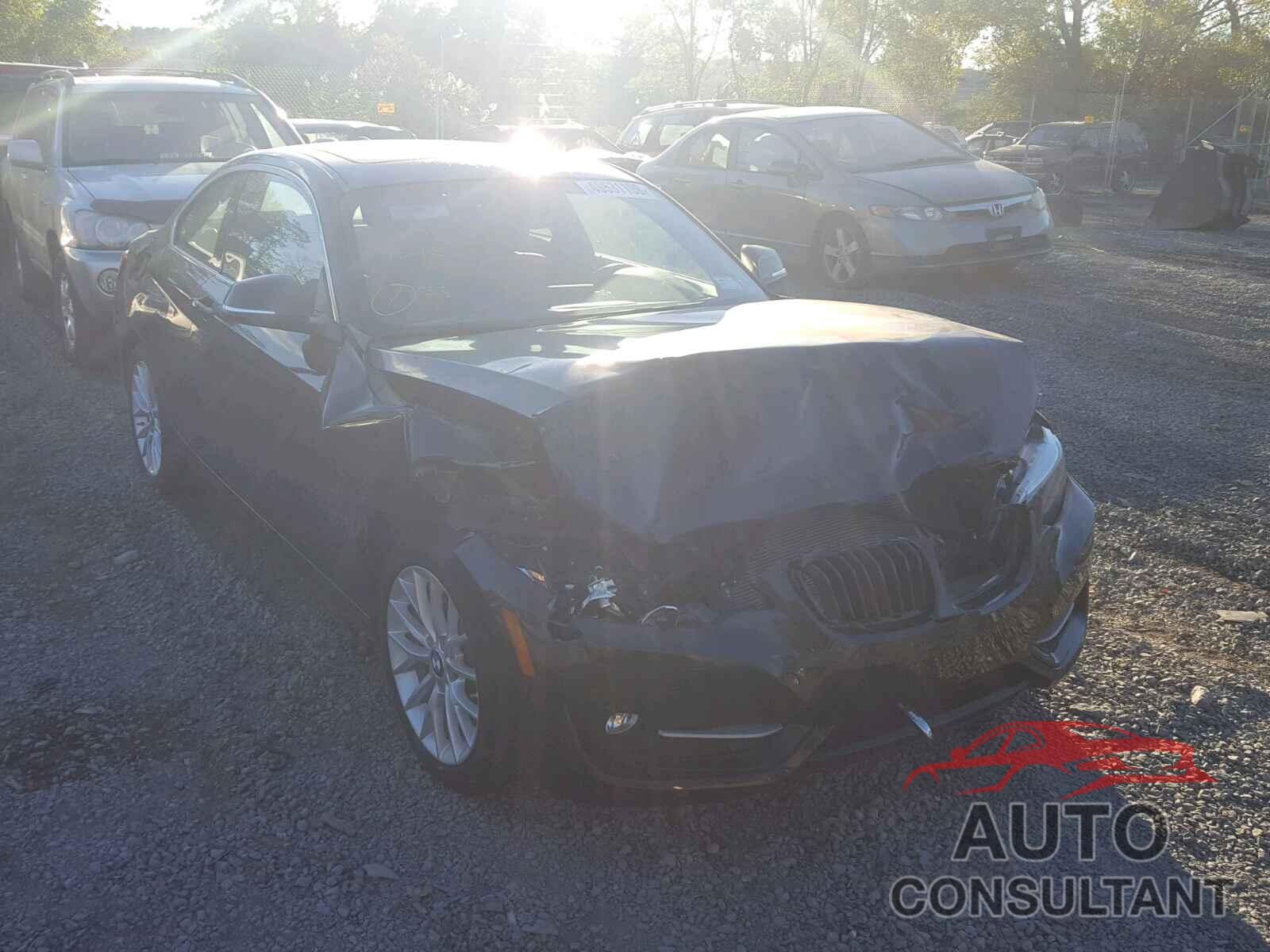 BMW 228 XI 2016 - WBA1G9C58GV599834