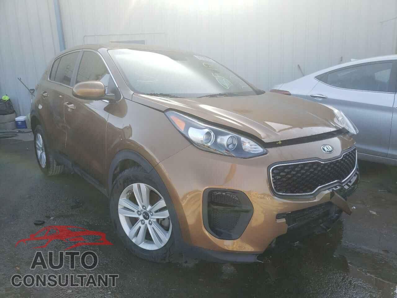 KIA SPORTAGE 2017 - KNDPM3AC6H7209985