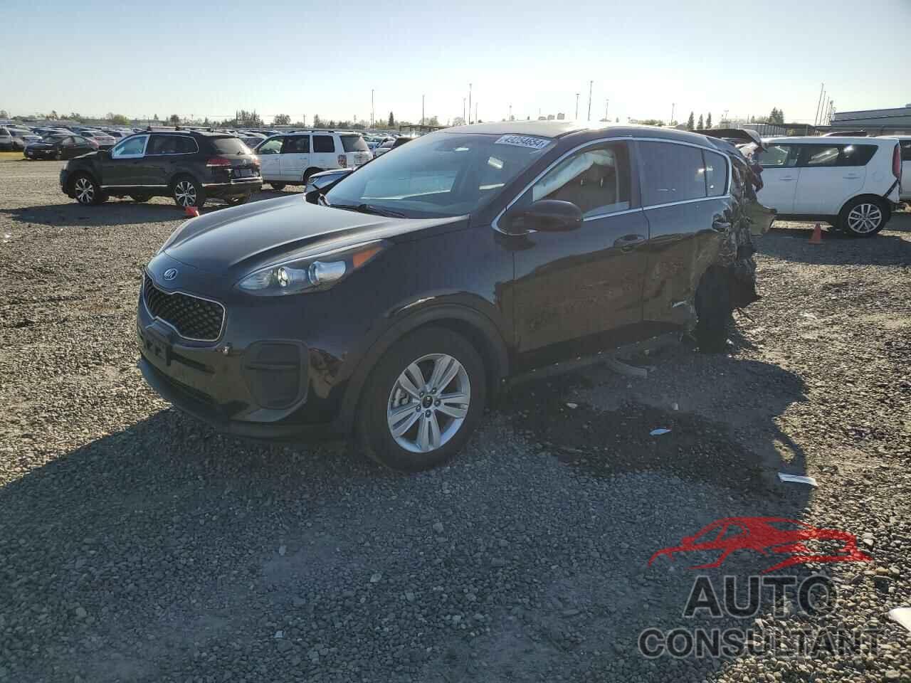 KIA SPORTAGE 2018 - KNDPM3AC3J7461697