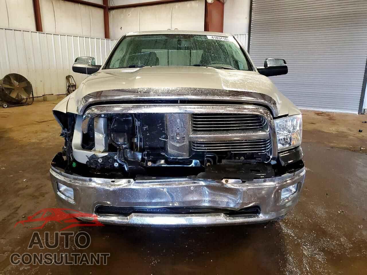 DODGE RAM 1500 2010 - 1D7RV1GT3AS207542
