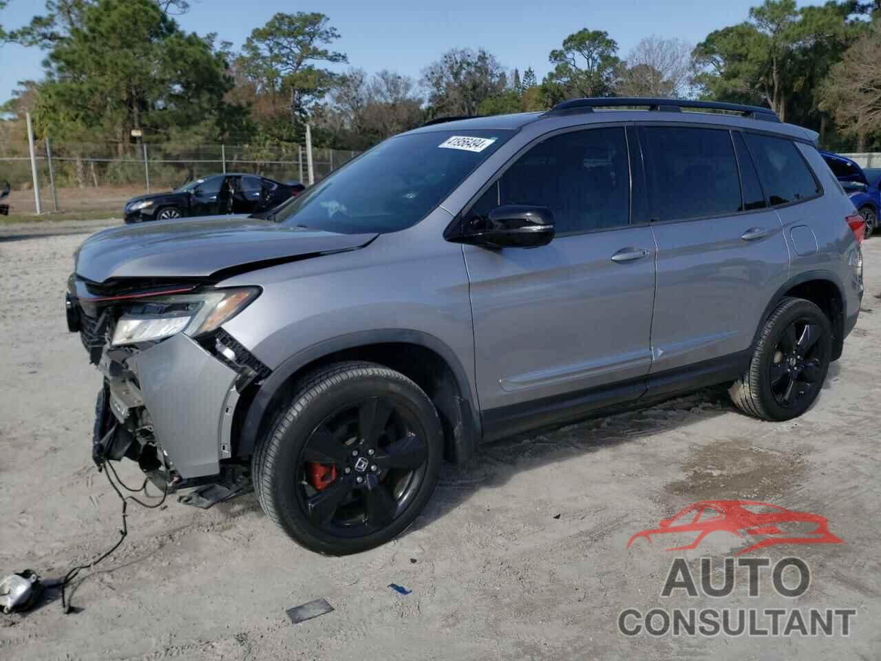 HONDA PASSPORT 2019 - 5FNYF8H05KB013254