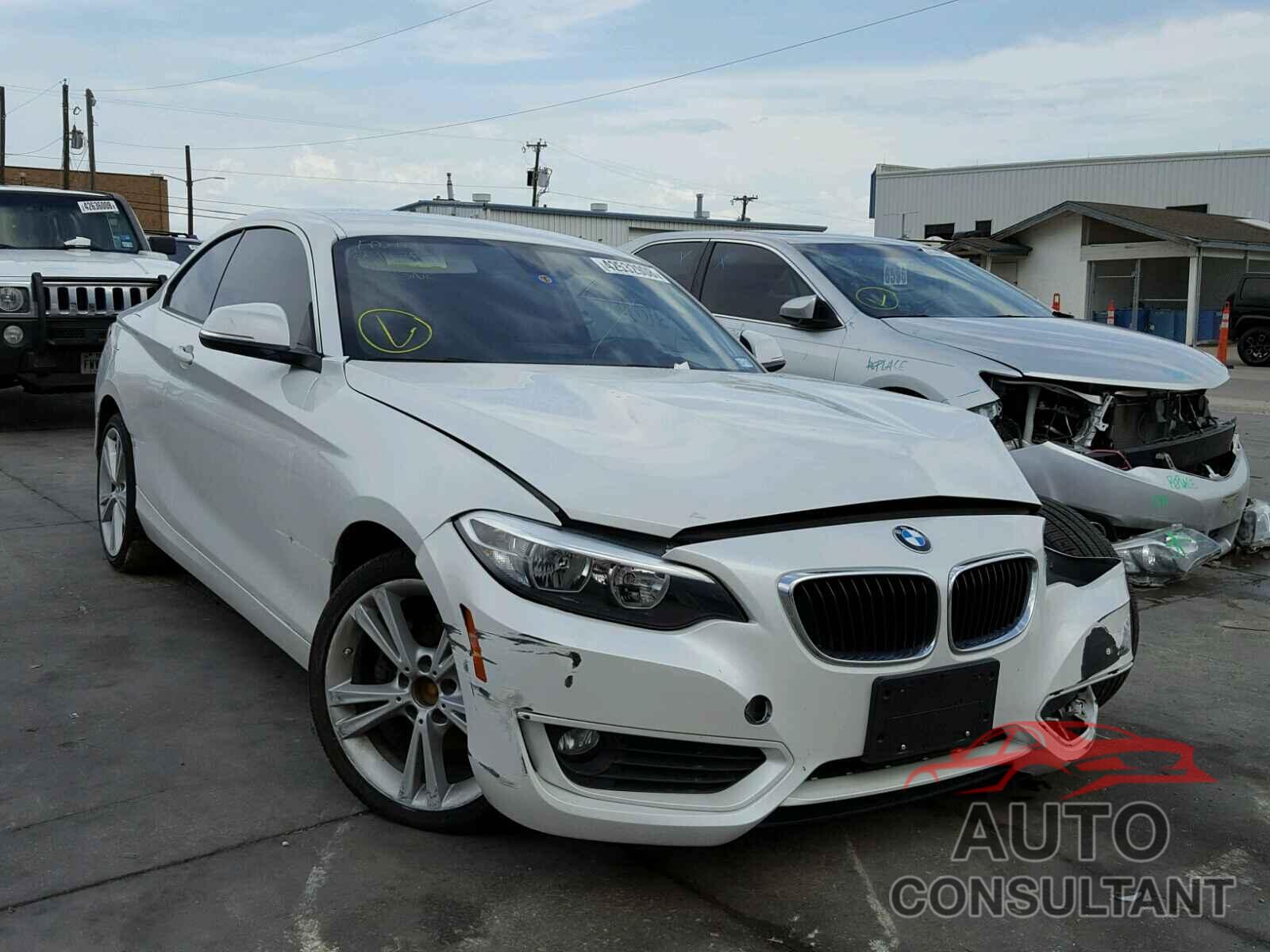 BMW 228 I 2015 - WBA1F5C58FV257004
