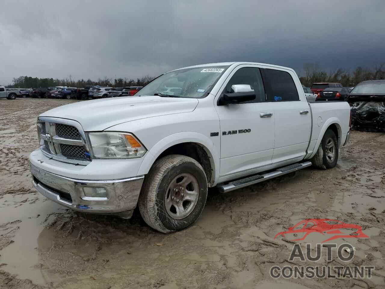 DODGE All Models 2011 - 1D7RB1CT3BS628368