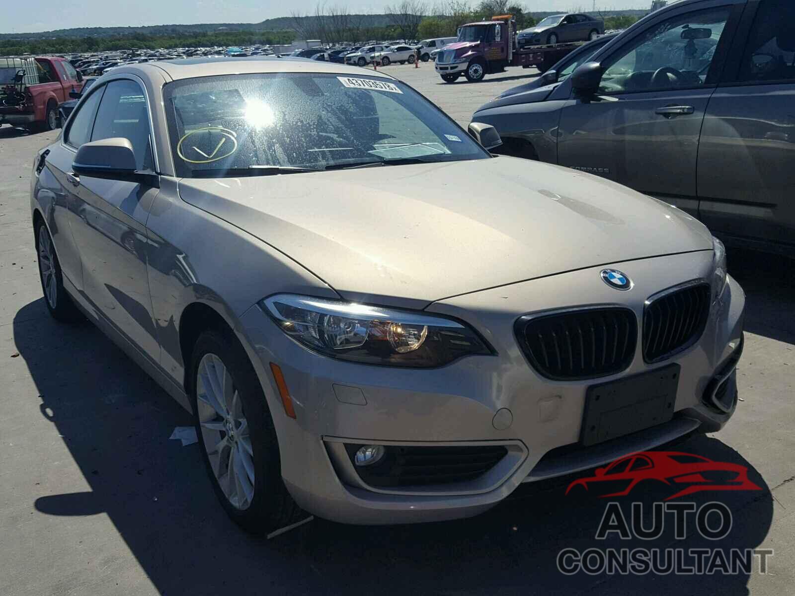 BMW 228 XI 2015 - WBA1F7C58FVX95701