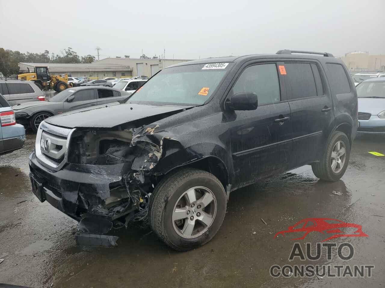 HONDA PILOT 2009 - 5FNYF38639B023721