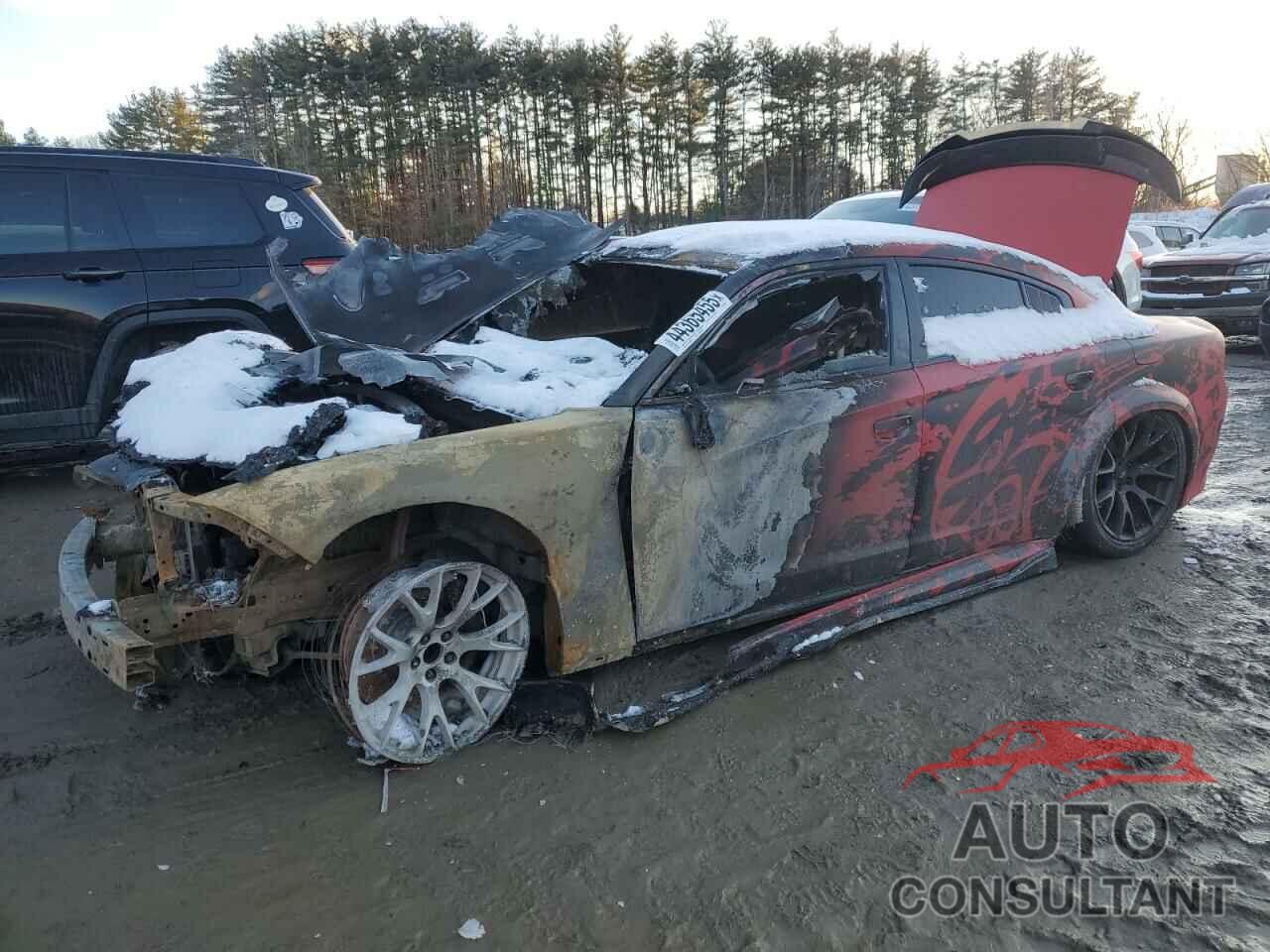 DODGE CHARGER 2019 - 2C3CDXGJ2KH647009