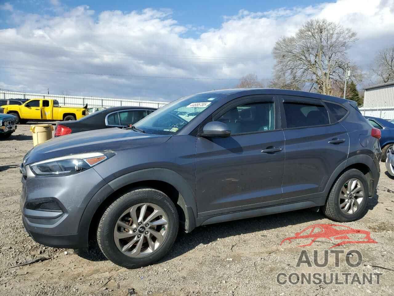 HYUNDAI TUCSON 2016 - KM8J23A42GU166231