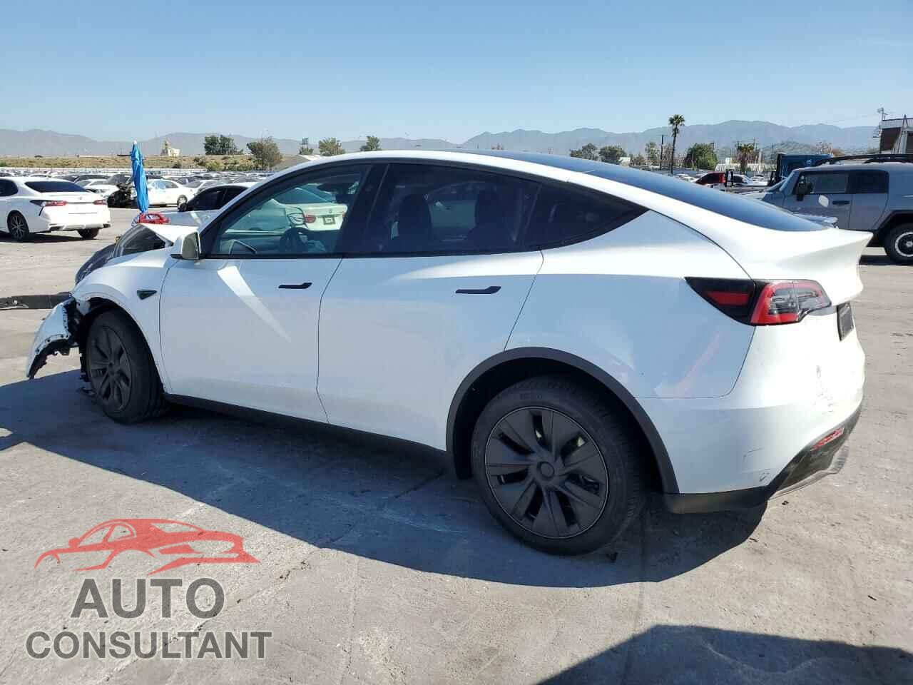 TESLA MODEL Y 2024 - 7SAYGDED5RF196309