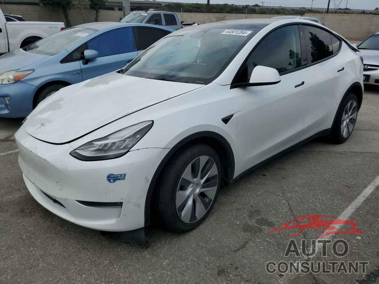 TESLA MODEL Y 2021 - 5YJYGDEE1MF204176