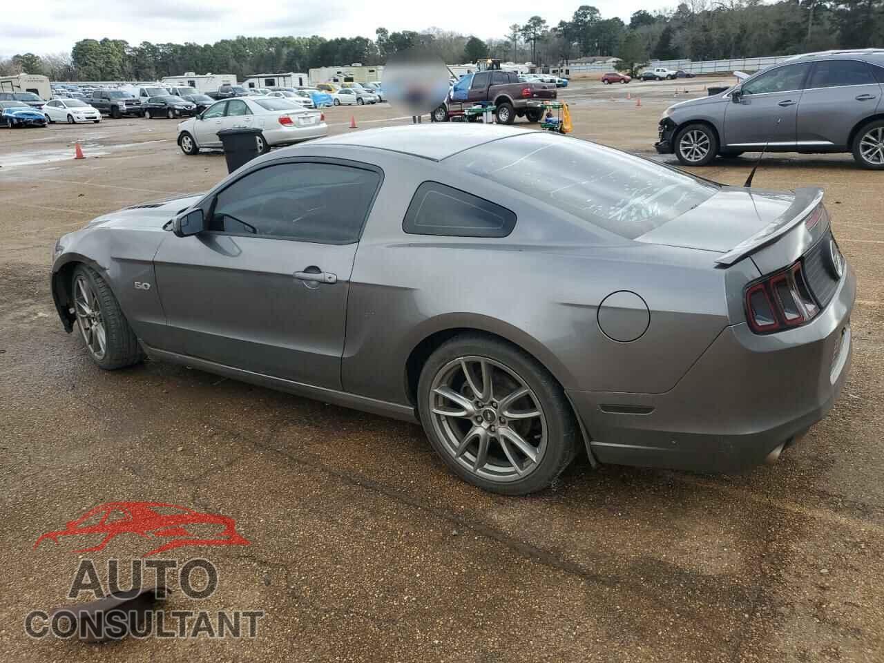 FORD MUSTANG 2014 - 1ZVBP8CF8E5281264
