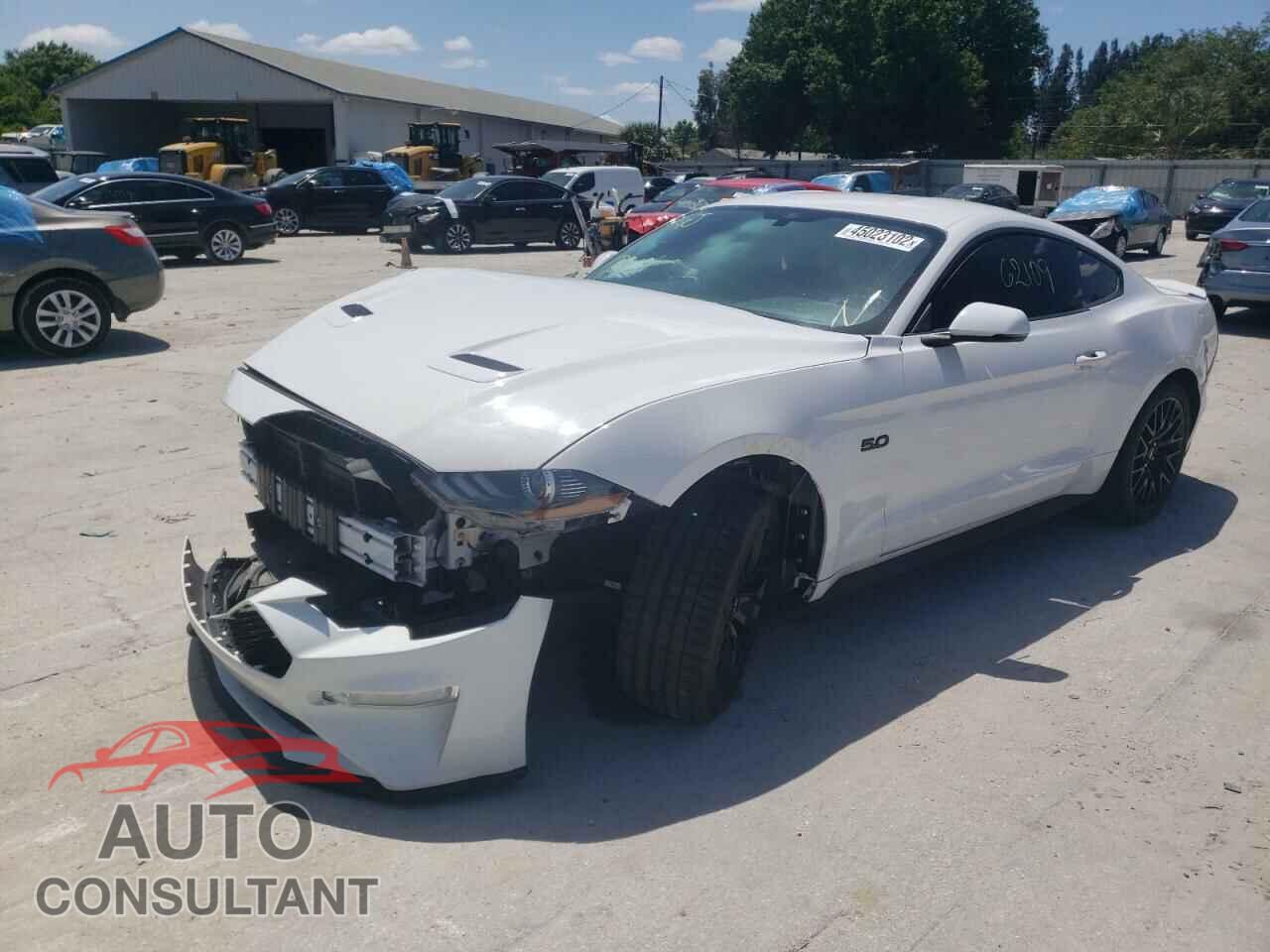 FORD MUSTANG 2019 - 1FA6P8CF2K5151664