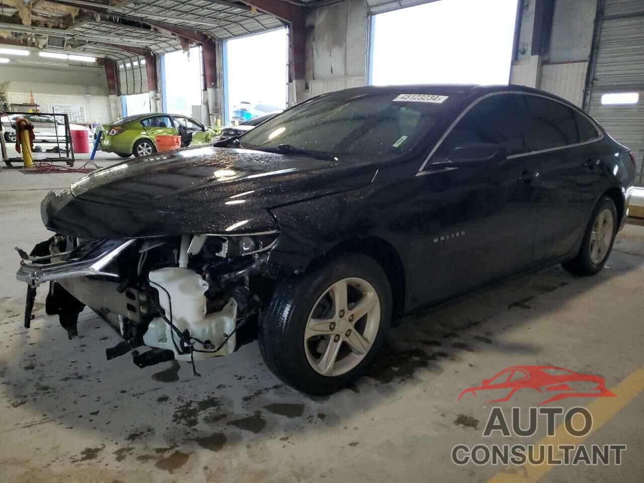 CHEVROLET MALIBU 2019 - 1G1ZB5ST3KF194831