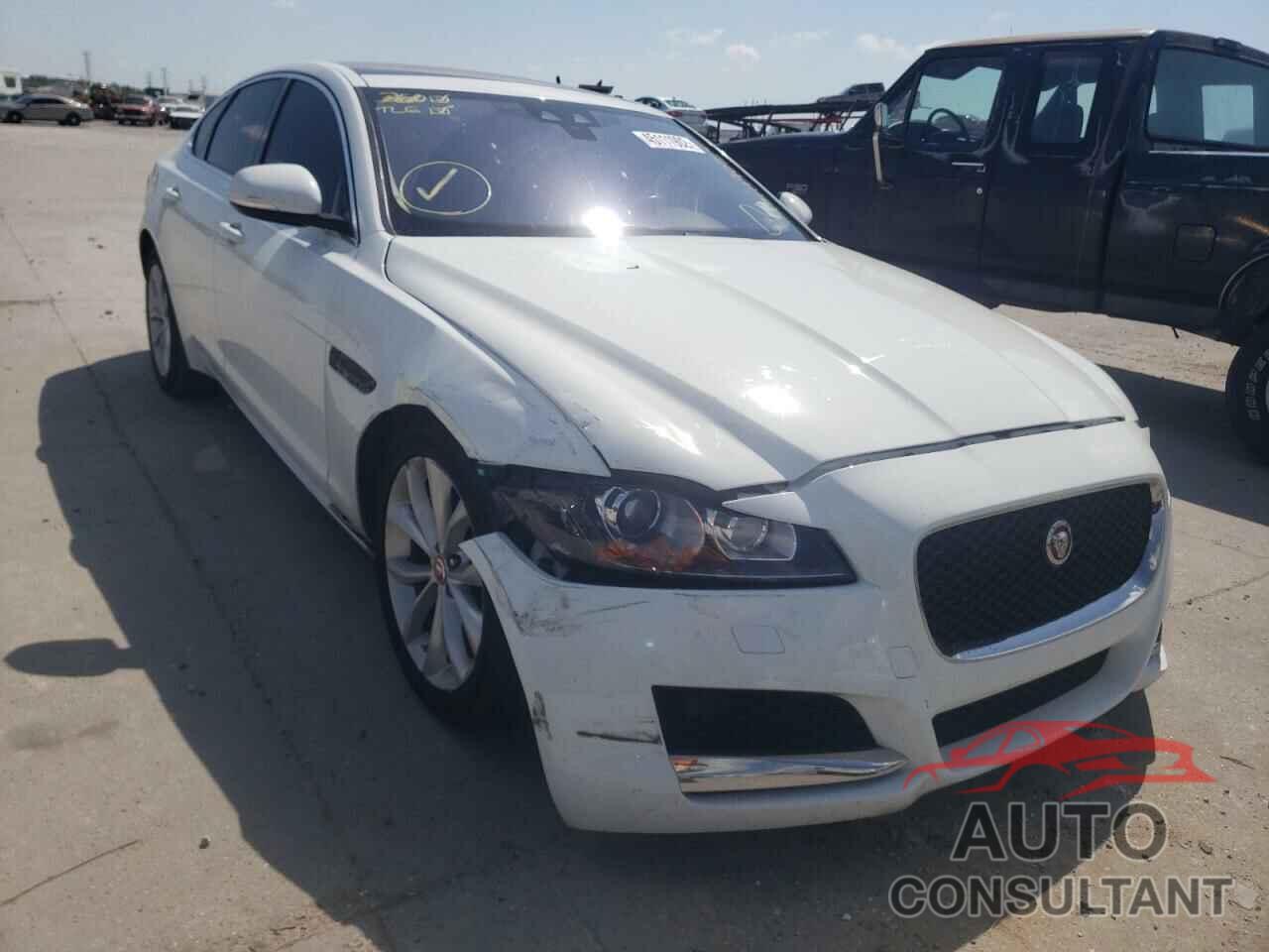 JAGUAR XF 2019 - SAJBD4FX2KCY79304