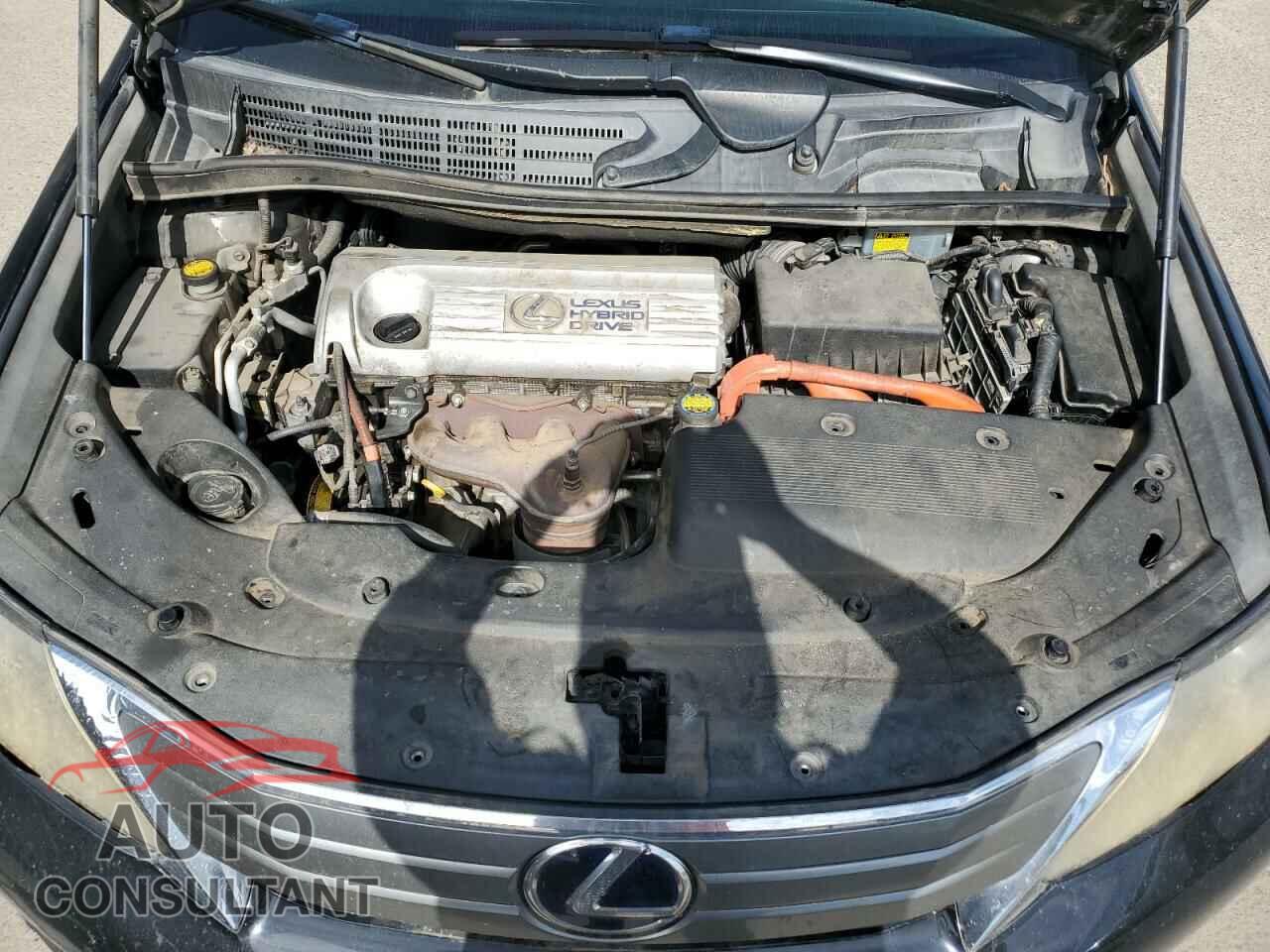 LEXUS HS 2010 - JTHBB1BA3A2006085
