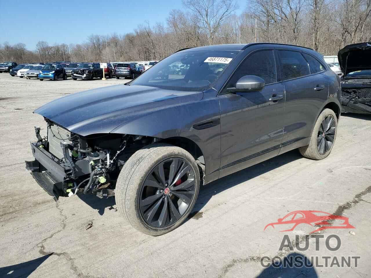 JAGUAR F-PACE 2019 - SADCM2FV9KA353502