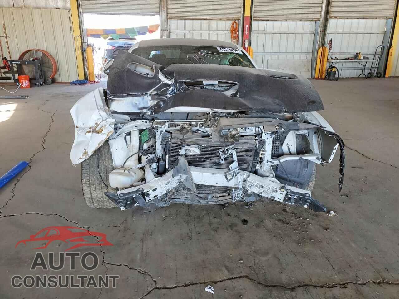 DODGE CHALLENGER 2019 - 2C3CDZFJ3KH642513