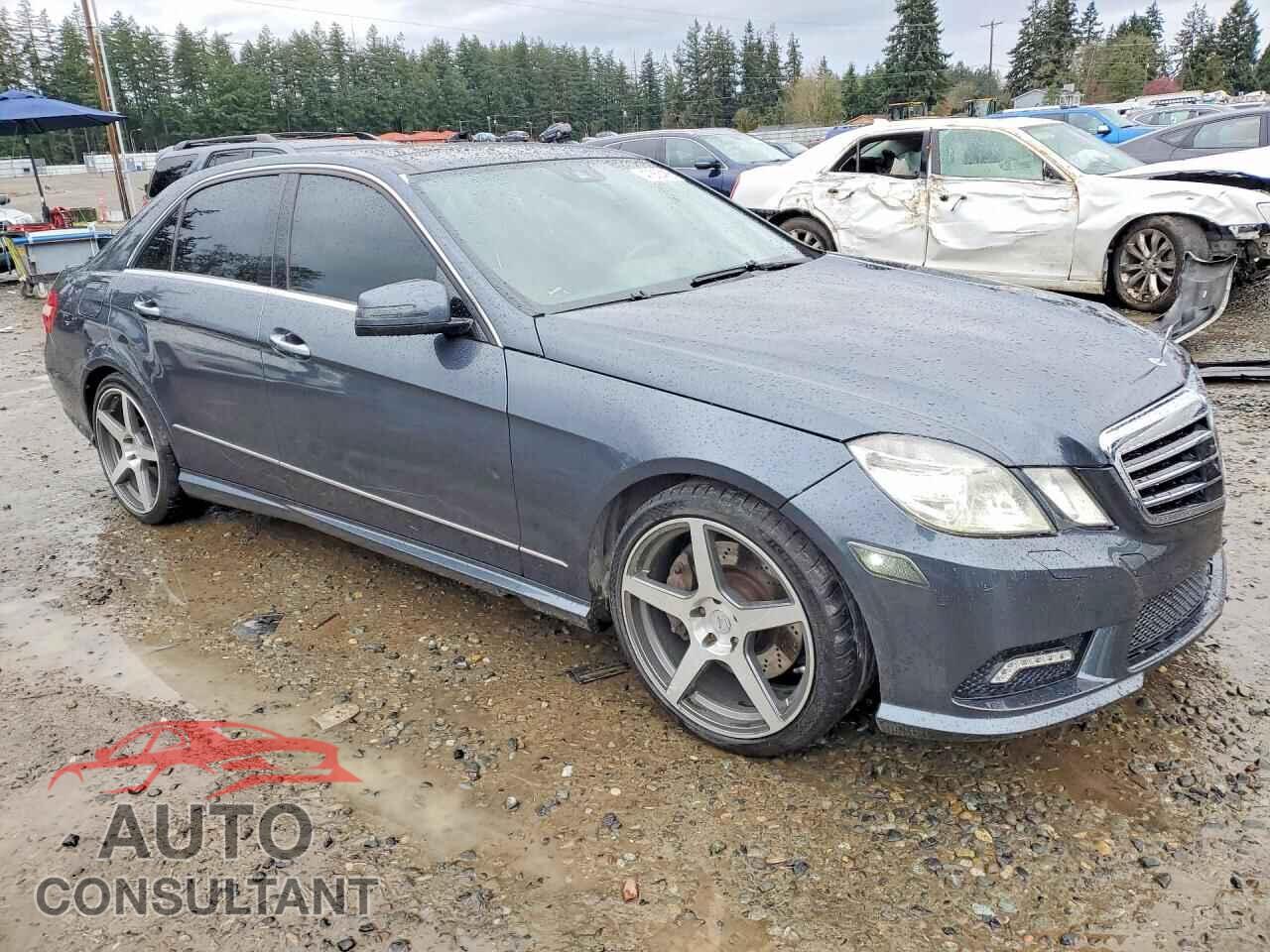 MERCEDES-BENZ E-CLASS 2010 - WDDHF7CB9AA018165