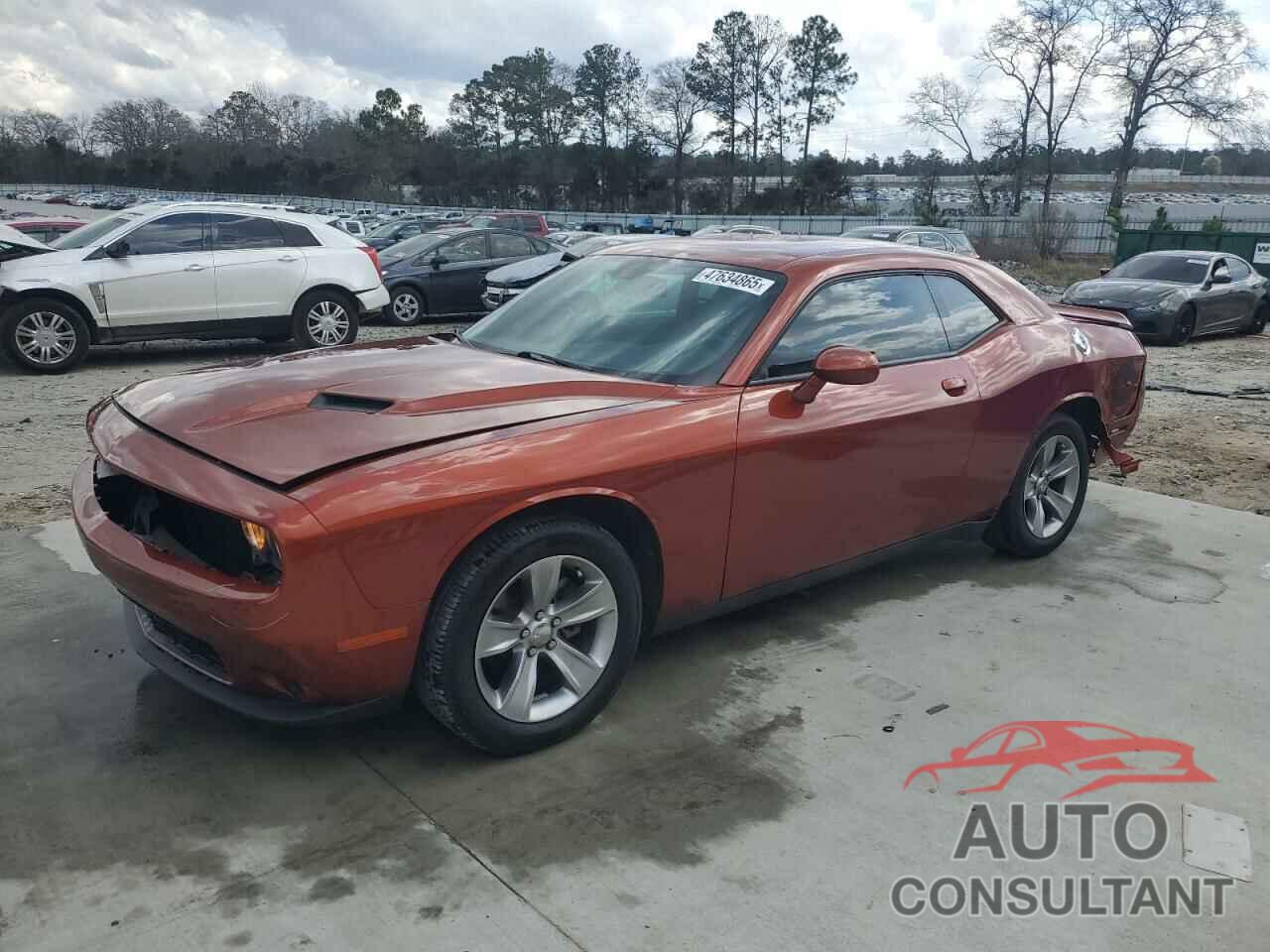 DODGE CHALLENGER 2020 - 2C3CDZAGXLH231302