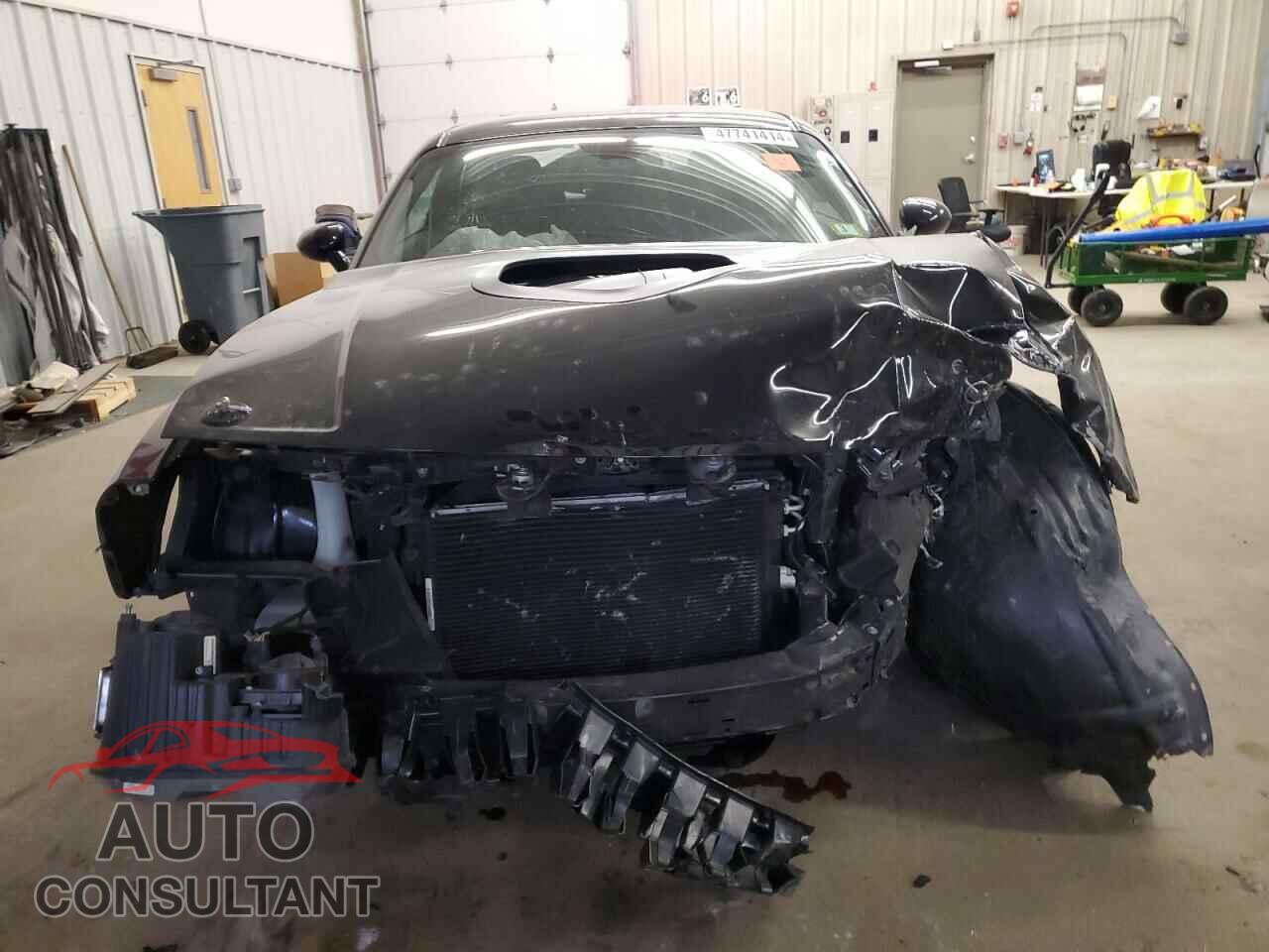DODGE CHALLENGER 2019 - 2C3CDZBTXKH587310