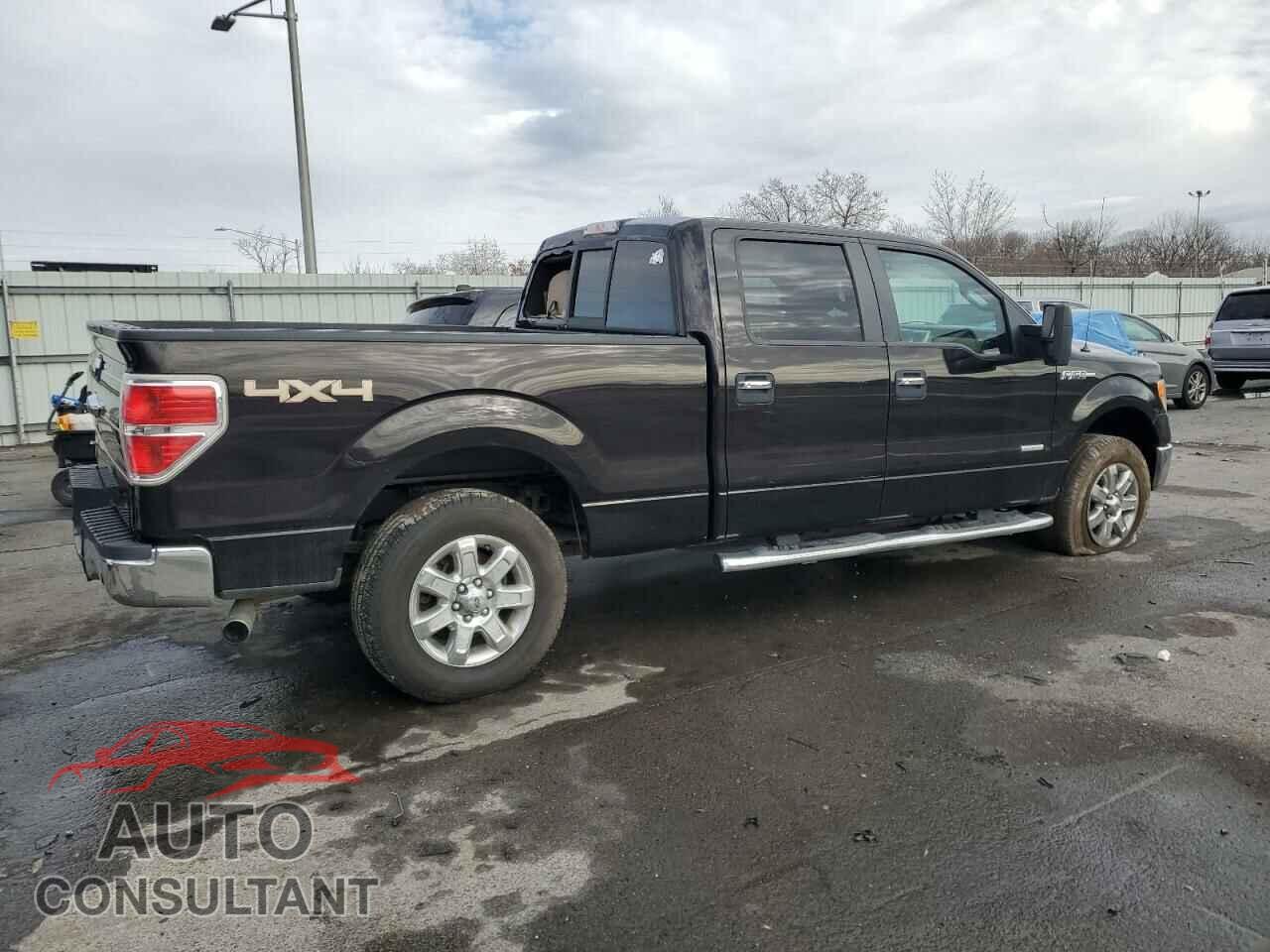 FORD F-150 2013 - 1FTFW1ET8DFD01667