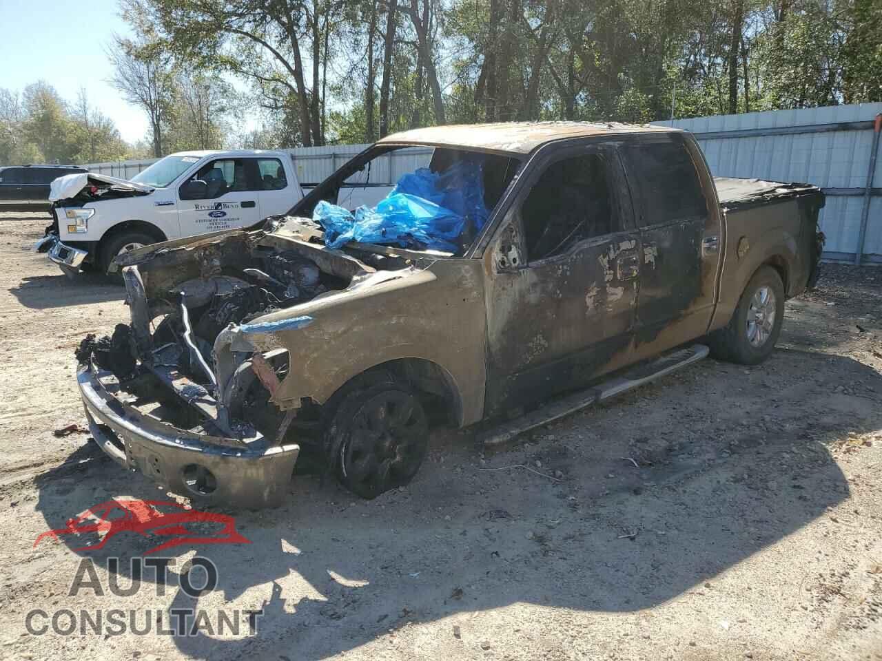 FORD F-150 2013 - 1FTFW1CFXDFD94947