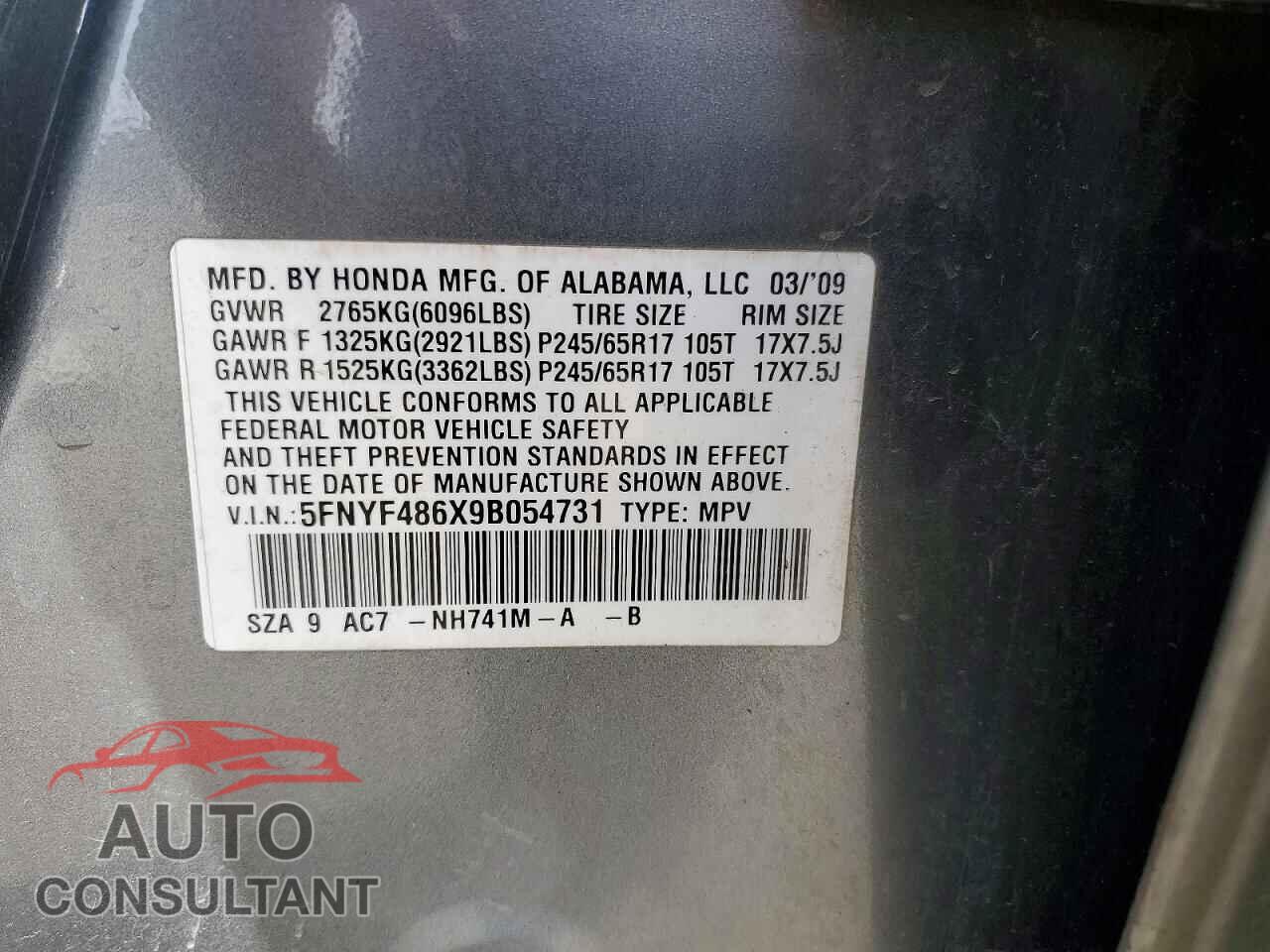 HONDA PILOT 2009 - 5FNYF486X9B054731