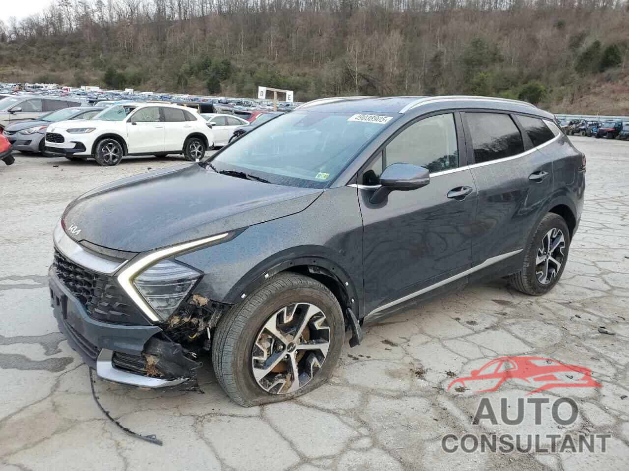 KIA SPORTAGE 2024 - 5XYK3CDF8RG230828