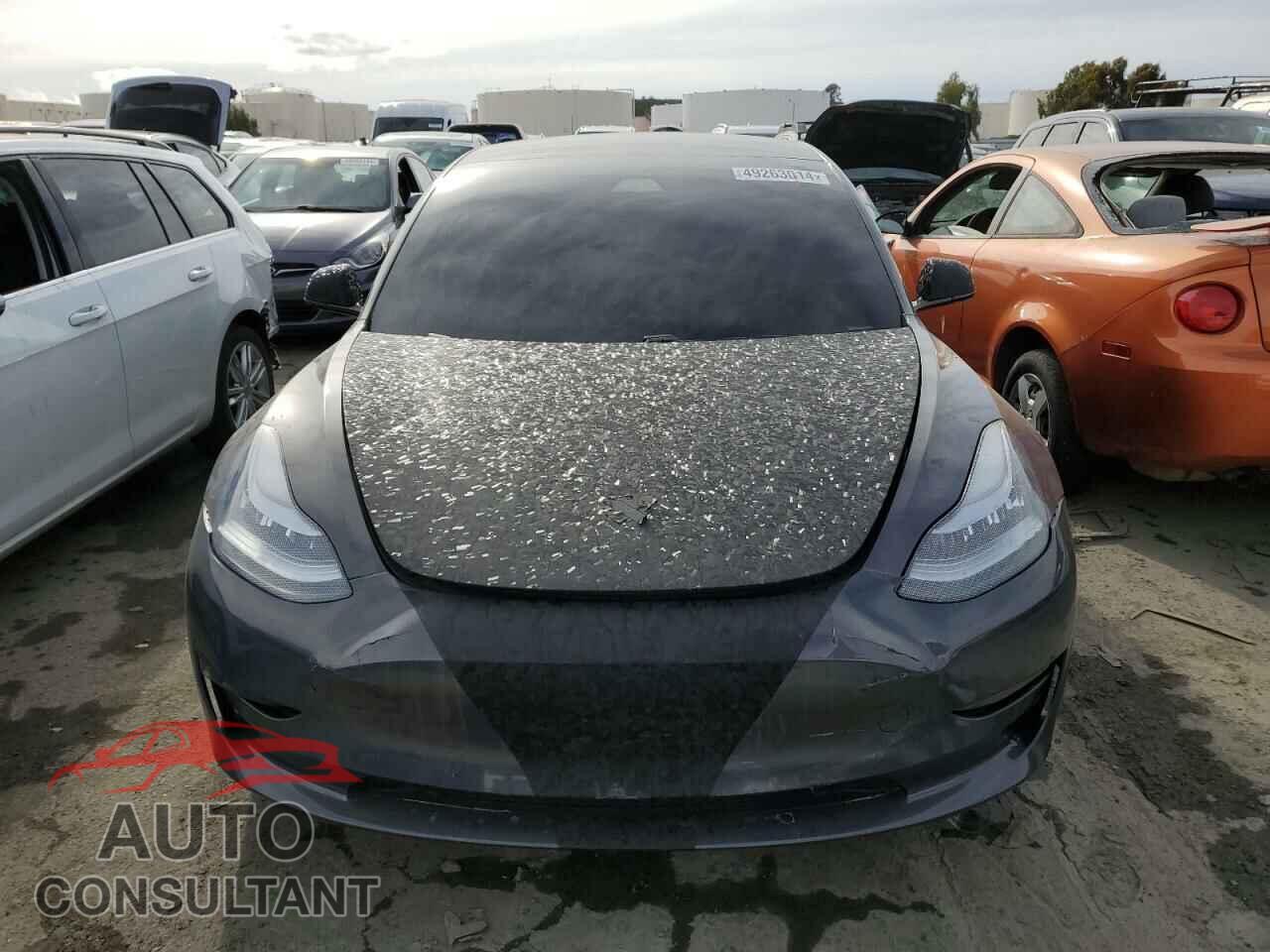 TESLA MODEL 3 2019 - 5YJ3E1EA9KF400830