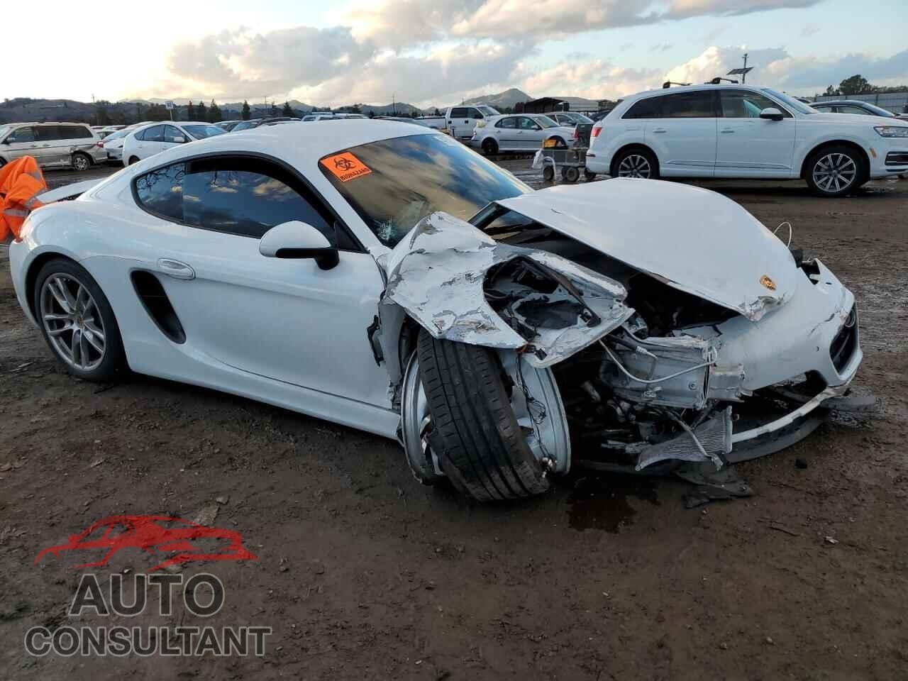 PORSCHE CAYMAN 2015 - WP0AA2A85FK164858