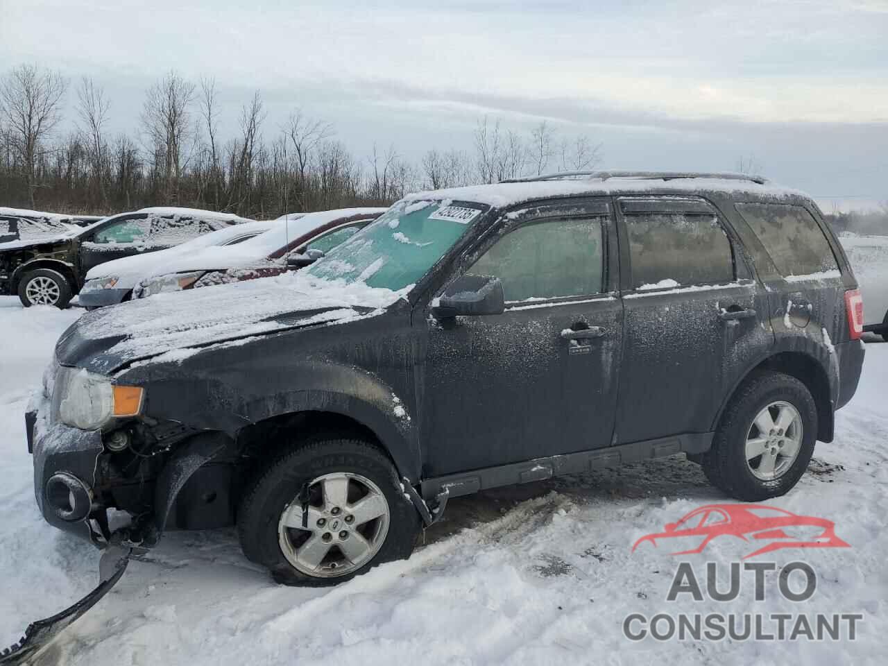 FORD ESCAPE 2010 - 1FMCU9DG2AKD15719