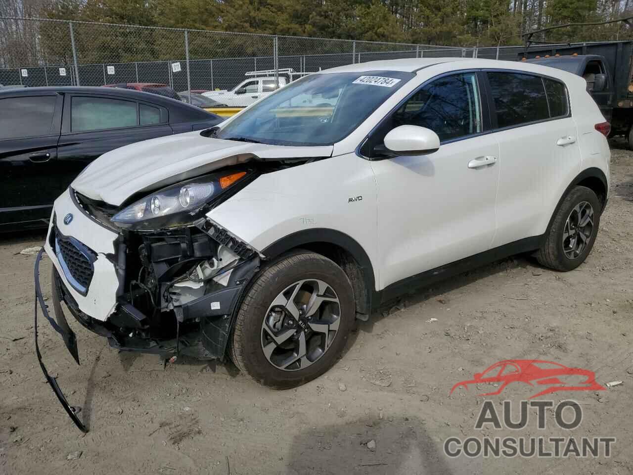 KIA SPORTAGE 2022 - KNDPMCACXN7973690