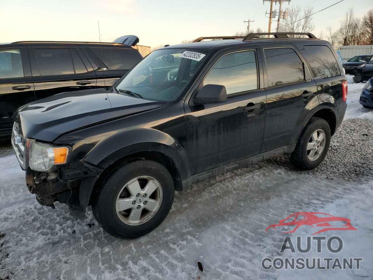 FORD ESCAPE 2010 - 1FMCU9DG2AKC64108