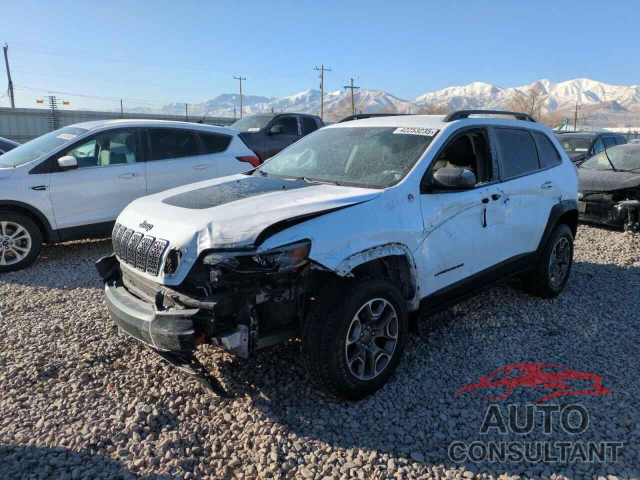 JEEP CHEROKEE 2020 - 1C4PJMBX9LD570492
