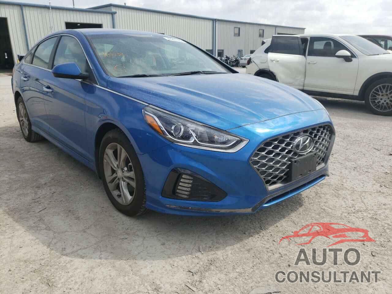 HYUNDAI SONATA 2019 - 5NPE34AFXKH782238