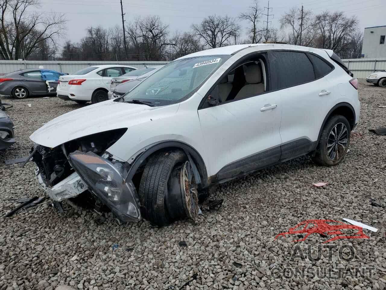 FORD ESCAPE 2022 - 1FMCU0G66NUB96534