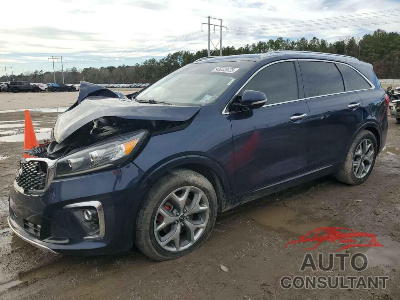 KIA SORENTO 2019 - 5XYPK4A50KG550399