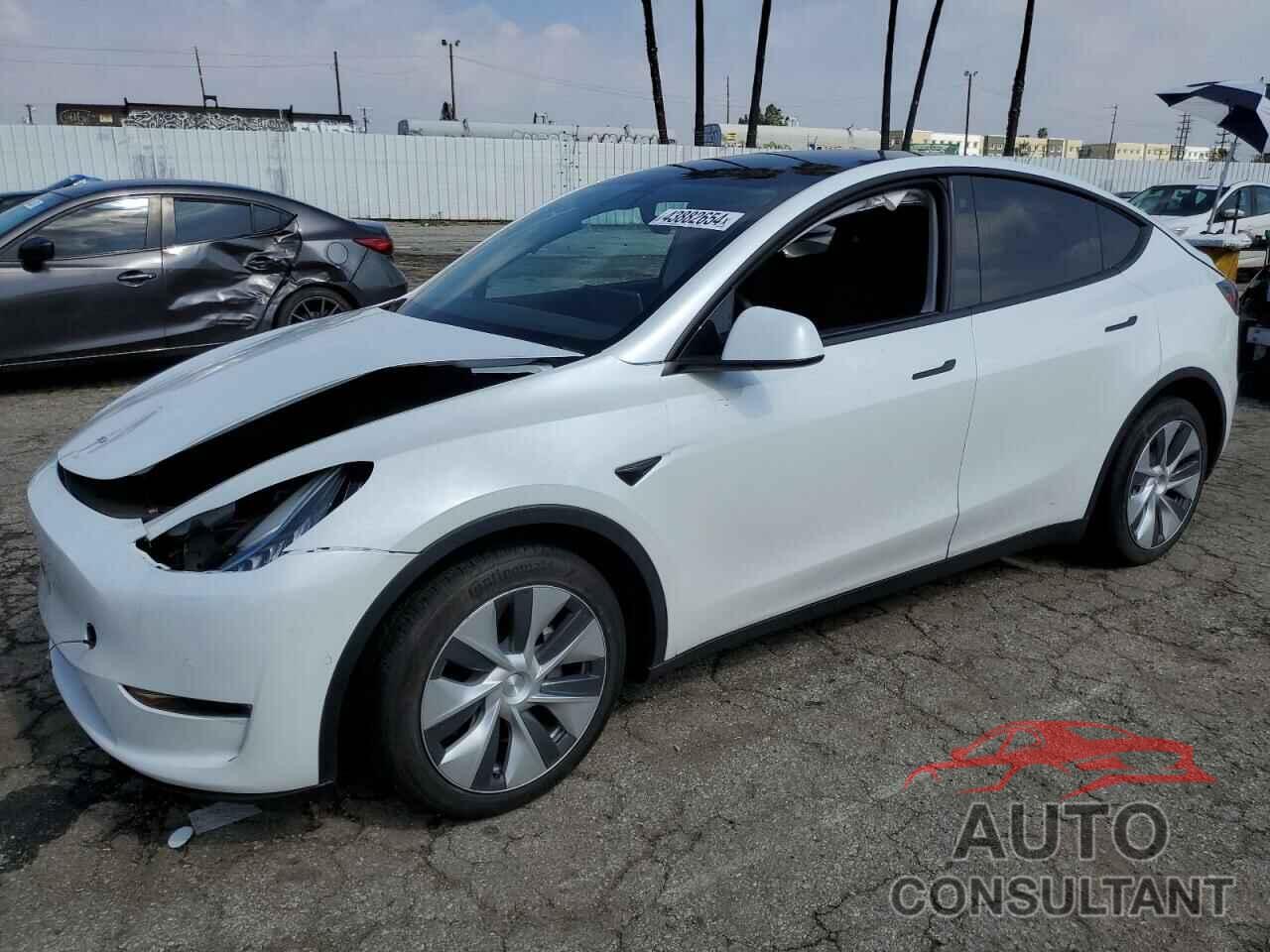 TESLA MODEL Y 2022 - 7SAYGDEE9NF347719