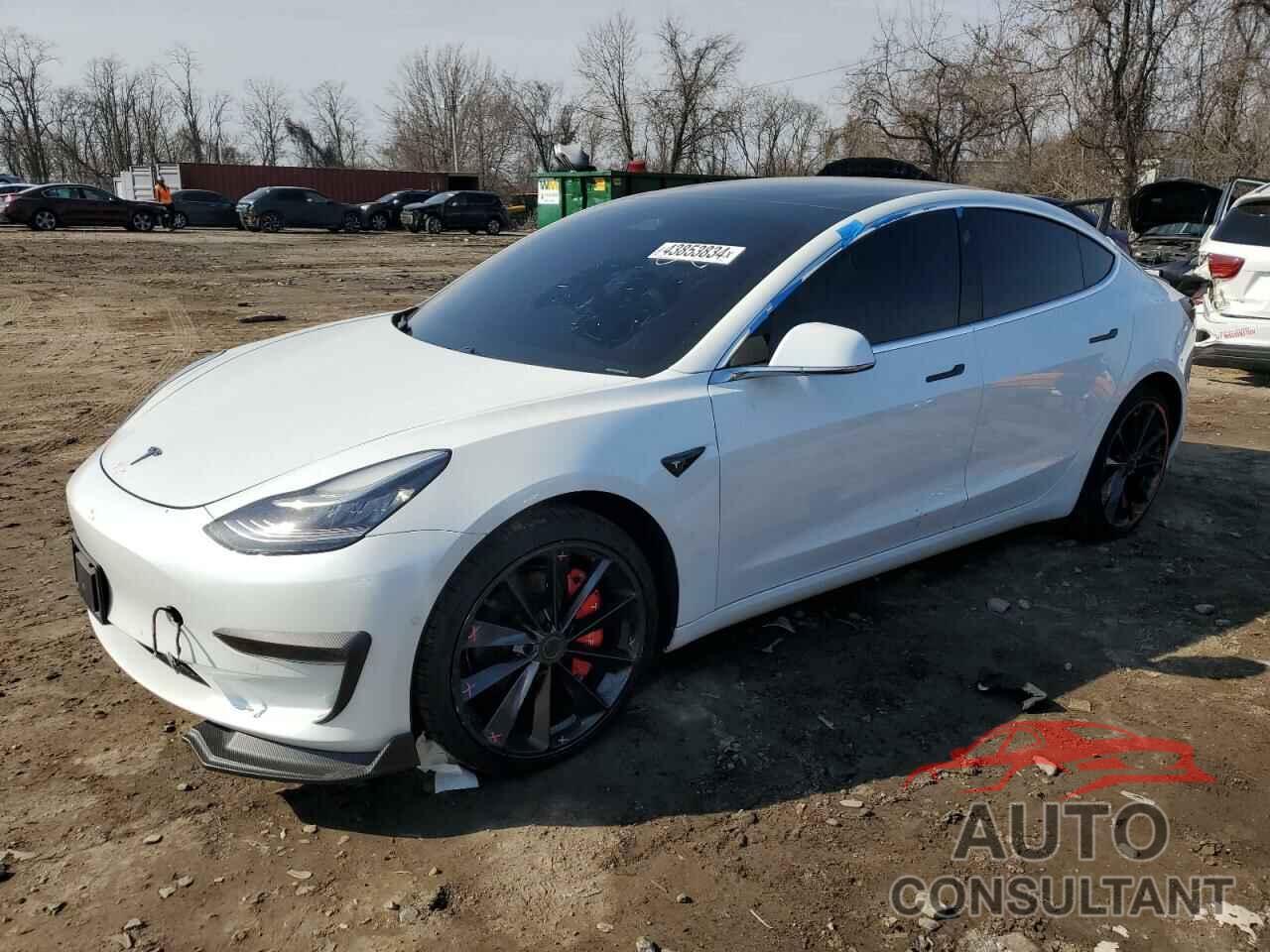 TESLA MODEL 3 2019 - 5YJ3E1EA8KF483456