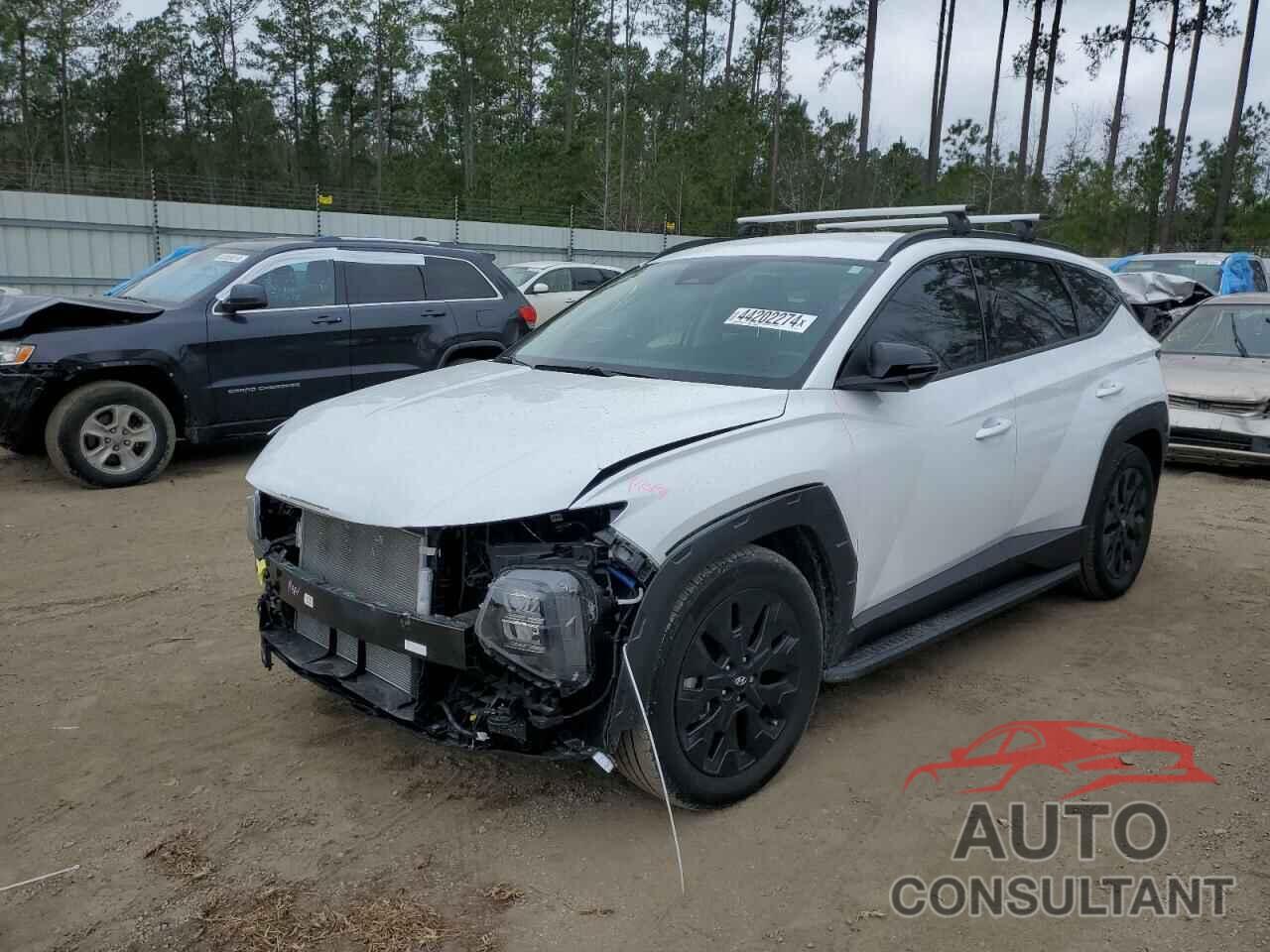 HYUNDAI TUCSON 2023 - KM8JF3AE4PU218875