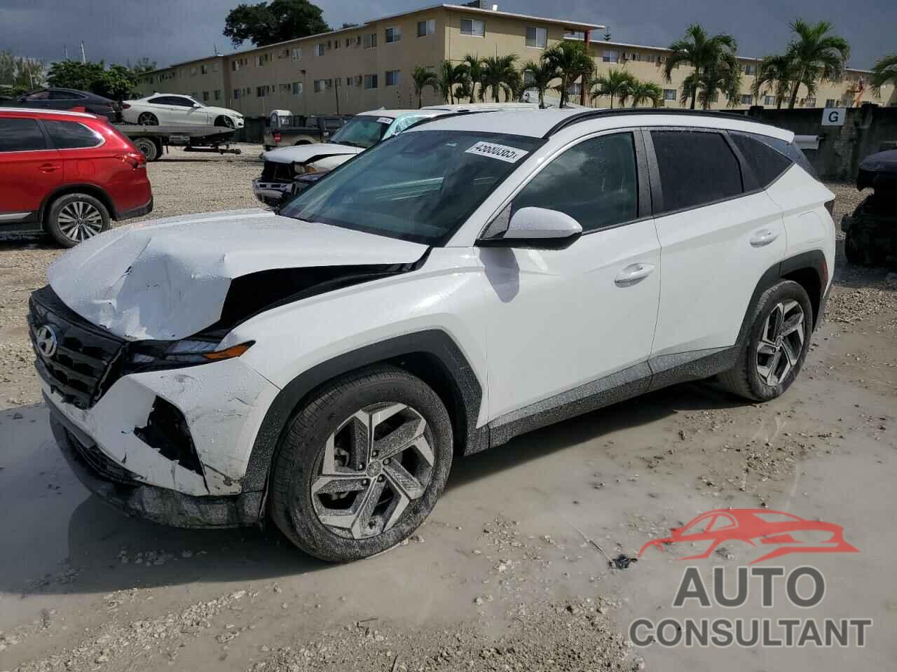 HYUNDAI TUCSON 2024 - 5NMJB3DE2RH428476