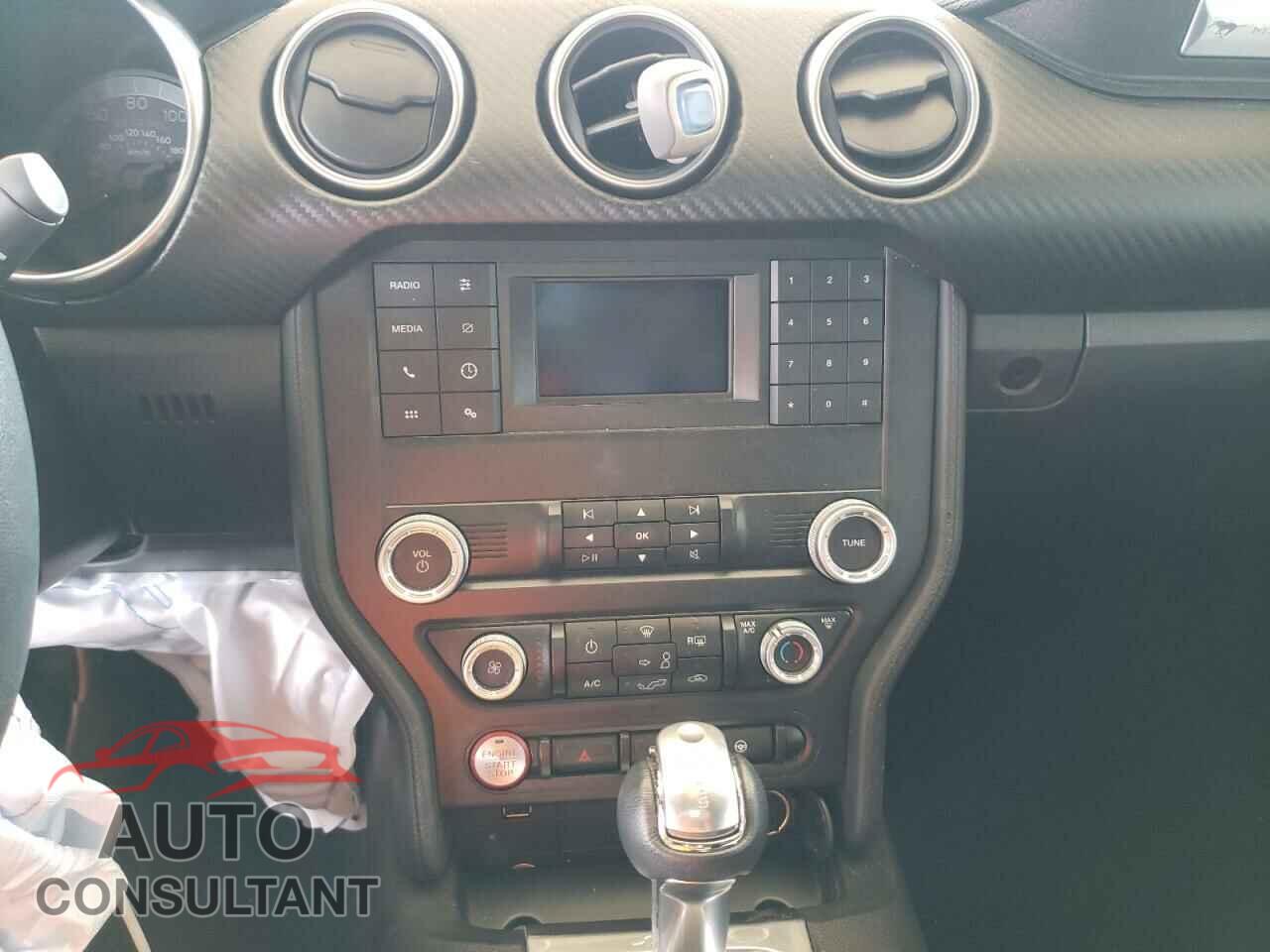FORD MUSTANG 2019 - 1FA6P8THXK5200224
