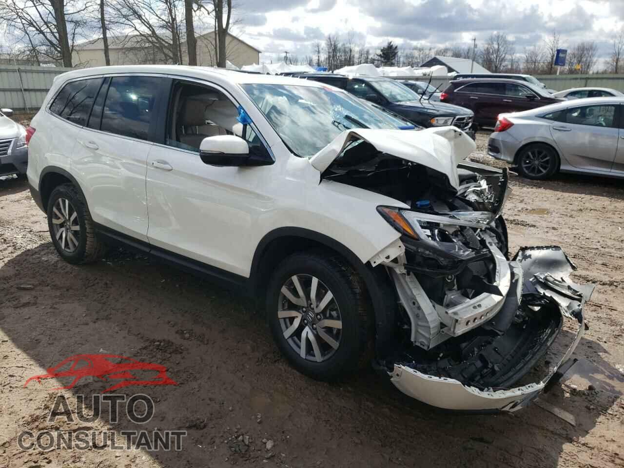 HONDA PILOT 2019 - 5FNYF6H52KB036300