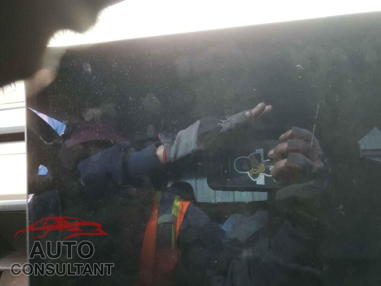TESLA MODEL 3 2019 - 5YJ3E1EA4KF308959