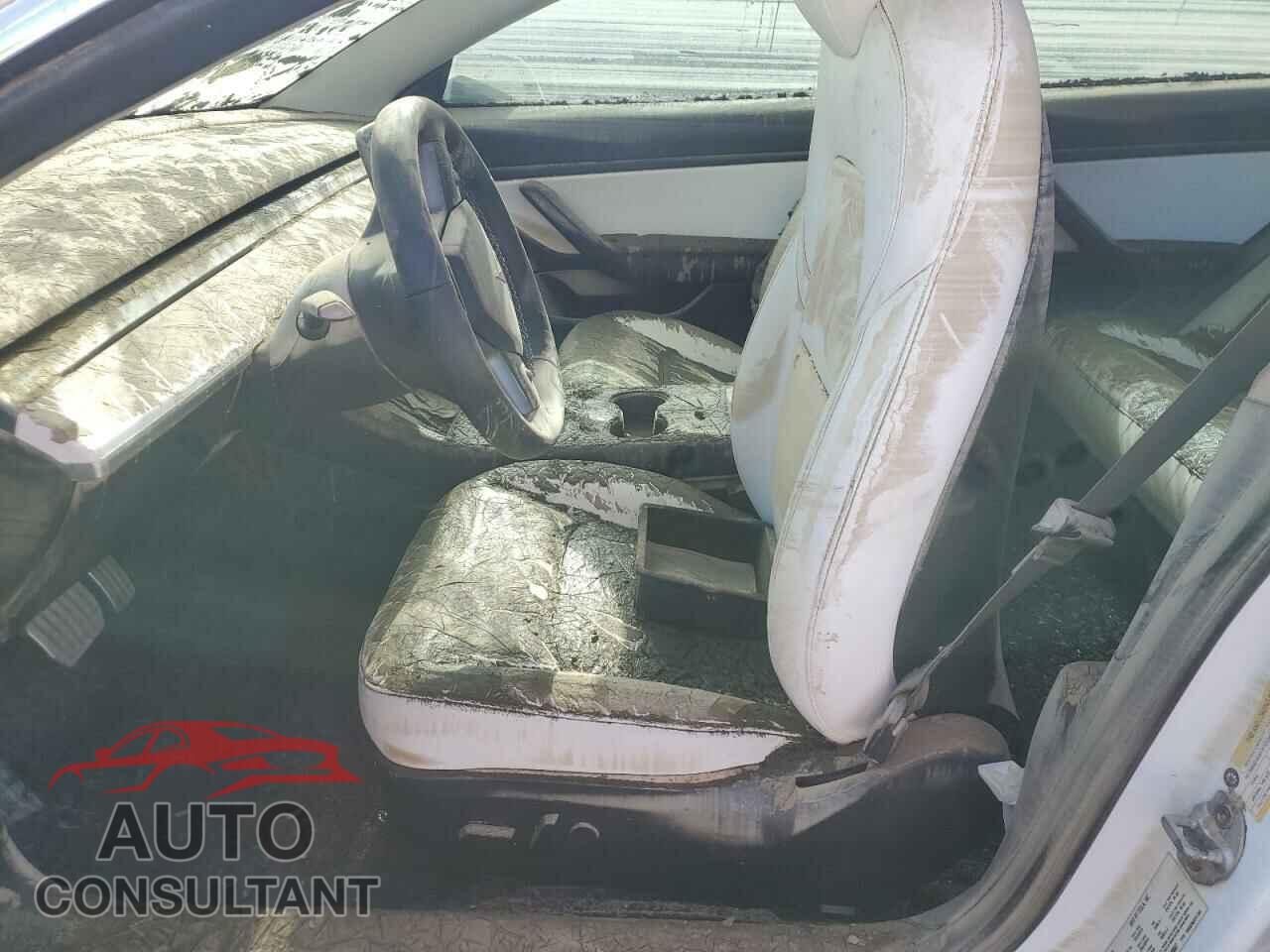 TESLA MODEL 3 2019 - 5YJ3E1EA3KF509087