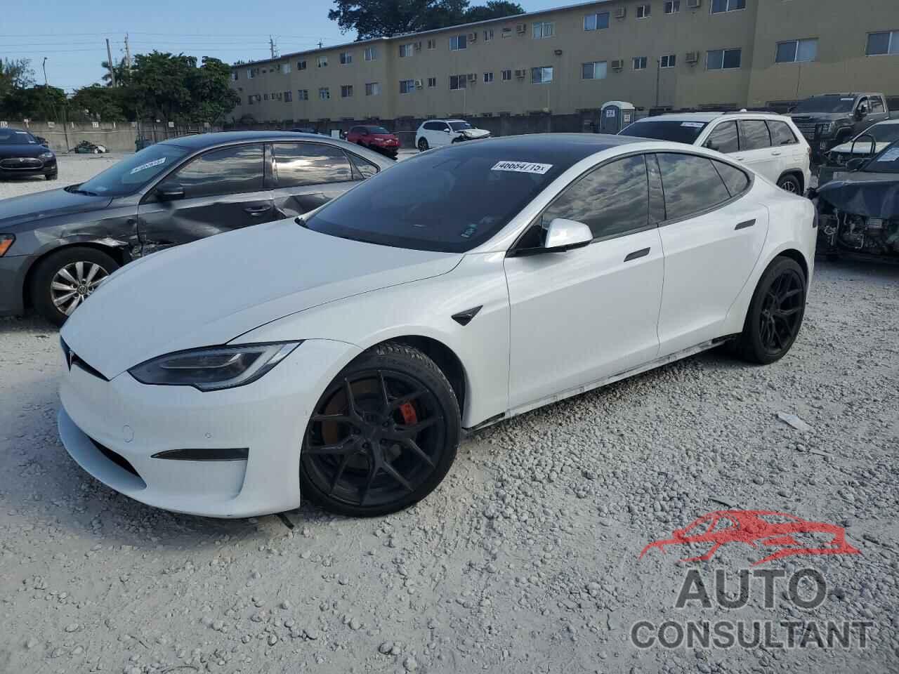 TESLA MODEL S 2021 - 5YJSA1E64MF451996