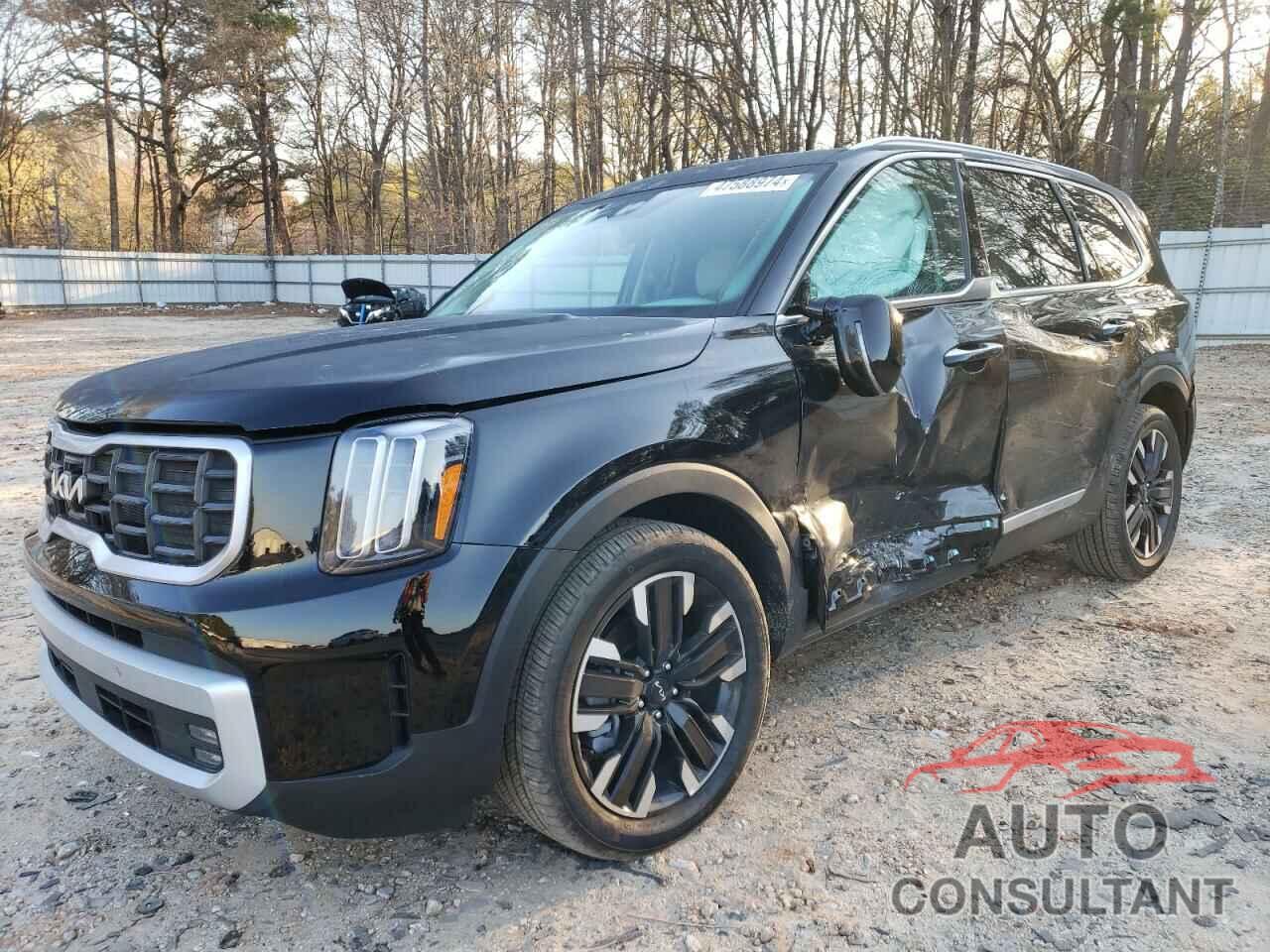 KIA TELLURIDE 2024 - 5XYP5DGC9RG430205